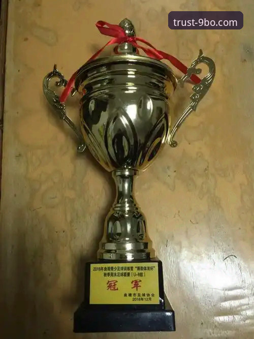 BO体育官方下载教程 BO体育官方下载教程:手把手教你安装9博体育平台v2.1.0